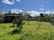 Top San Vicente de Taguatagua