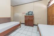 Top Garut