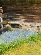 Top Sankt Georgen ob Murau