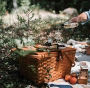 Reet am Rhein - Eröffnungsangebot