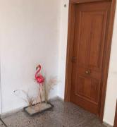 Rymlig lägenhet i Lo Pagan