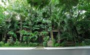 Top Siem Reap