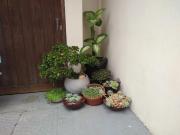 Pousada Ilha do Sol 150m mar e 600m Beto Carrero