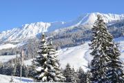 Top Immenstadt im Allgäu