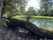 Artemis plitvice