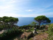 Top Capoliveri