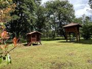 Perron-