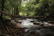 Top Mananthavady