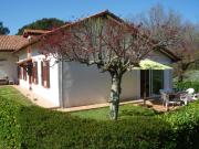 Top Montgaillard