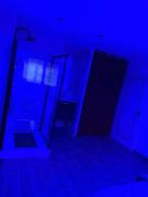 Top Chevigny-Saint-Sauveur