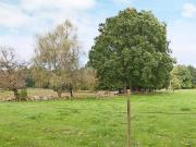 Top Hishult Top Hishult