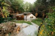 Top Branson