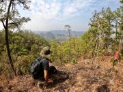 Top Pang Mapha Top Pang Mapha