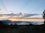 Top Solochin Top Solochin