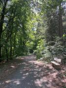 Komfort Ferienwohnung Wunder