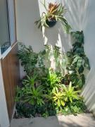 Top Caraguatatuba