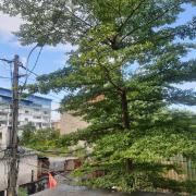 Top Thôn Lại Thê