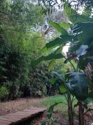 Cañas y Mar - A 70m del mar