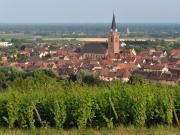Top Bergheim