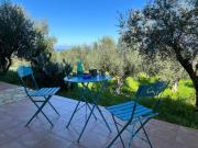 Peaceful home amongst olive groves by the sea