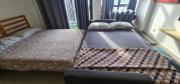Top Shah Alam