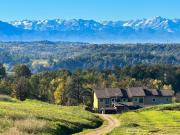 Top Novello Top Novello