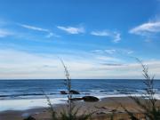 Top Chợ Phước Hải