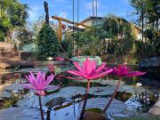 The Lazy Farm-Garden Central Room