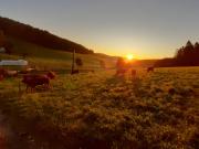 Top Eisenbach Top Eisenbach