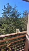 Top Zlatibor