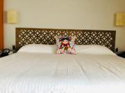 Top San José Iturbide