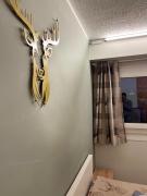 Top Passo del Tonale