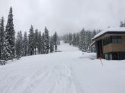 Top Truckee Top Truckee