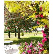 Top La Tour-dʼAigues Top La Tour-dʼAigues