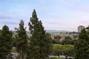 Top San Diego