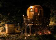 Top Szeroki Bór Top Szeroki Bór