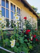 NordsoeHousing-Rørby NordsoeHousing-Rørby