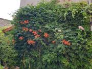 Top Vitry-sur-Seine