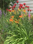 Top Kellogg Top Kellogg