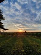 POČITNIŠKA HIŠA SONČNI VRH