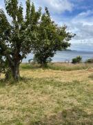 Cabaña 4 personas en Calen Rural, Chiloé