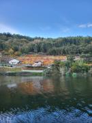Top Taboada