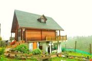 Top Ooty