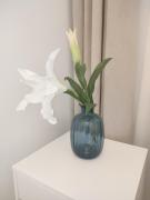 Top Szklarska Poręba Top Szklarska Poręba