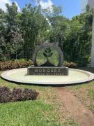 Top Playa del Carmen