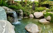 Top Palm Springs