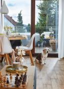 Top Jelenia Góra Top Jelenia Góra