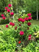 Top Le Gué-de-Longroi