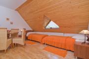 Top Idrija