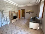 Lemon Tree House Lemon Tree House